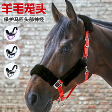 Недоуздок 英国shires羊毛牵马笼头马龙套保护马鼻子加绒马笼头加厚舒适耐用