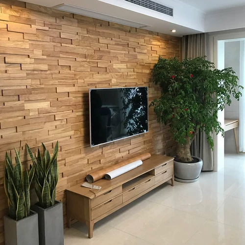 Настоящий троянский телевизионный фон стены лодка главного крыльца коридор