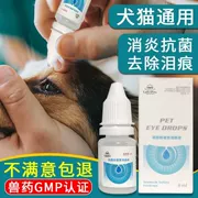 Chó mèo bị viêm mắt mèo thuốc nhỏ mắt mèo chloramphenicol để loại bỏ nước mắt và thuốc nhỏ mắt hơn gấu - Thuốc nhỏ mắt