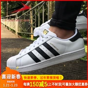 Adidas clover nam và nữ cổ điển vỏ sò giày thông thường 2019 xuân C77124 EE9151