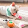 Chó đồ chơi sang trọng mol mol cắn đào tạo Teddy gấu con chó con mèo đồ chơi cung cấp vật nuôi chó nhai - Mèo / Chó Đồ chơi đồ chơi mèo