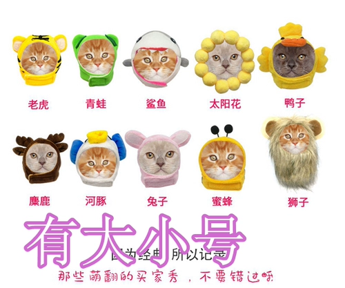 ПЭТ -головная дыра, собачья собака универсальная милая шляпа собака голова головы ювелирные изделия забавные сцены