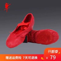 Красная танцевальная обувь для взрослых учителей обувь танце