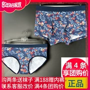 Caber Cabaret vài đồ lót cotton phương thức sáng tạo hoa gợi cảm nam nữ góc phẳng 948 048