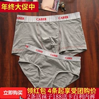 Caber Cabaret vài đồ lót modal cotton màu rắn nam boxer nữ tam giác eo 5877 3877 quần chip đôi