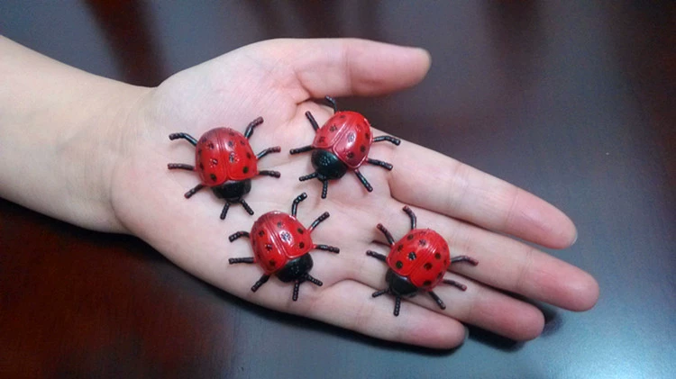 Cung cấp đặc biệt mô phỏng chính hãng rắn đồ chơi côn trùng nhỏ mô hình bảy sao bọ rùa đồ trang trí nhận thức của trẻ em bảo vệ môi trường - Trang trí nội thất