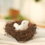 Zakka mini gai cây chim yến chim dễ thương chim yến dệt tay trang trí nhà đạo cụ hình ảnh - Trang trí nội thất phòng khách nhà cấp 4