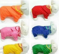 Bobo Dog Paint Paint Paint Pet Pet Pat Pait