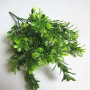 Cây mô phỏng hoa giả cây xanh phân vùng trang trí cỏ nhựa 7 Milan cỏ cắm hoa lá xanh - Hoa nhân tạo / Cây / Trái cây