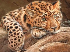Вышитая картина 精准印花dmc纯棉十字绣正品 客厅玄关 世界名画 油画