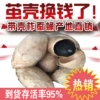 Товары от 东北小伙0o