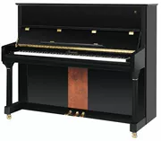 Đàn piano Vedrio Áo "MG-Y03A" gỗ sơn mài chân gỗ màu đen - dương cầm