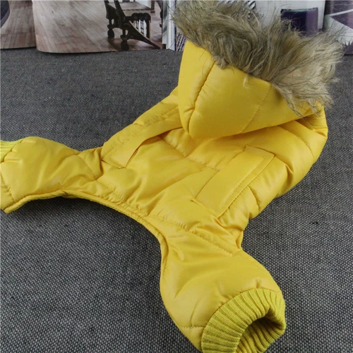 Одежда для домашних животных Утолщенное хлопковое пальто осень и зимняя одежда Bichin Chihuahua Puppy Dog Одежда