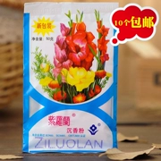 Old Bắc Kinh hàng hóa Trung Quốc Violet trầm hương bột 50 gam túi kiểm soát dầu trang điểm che khuyết điểm bột lỏng bột bột bột truy cập