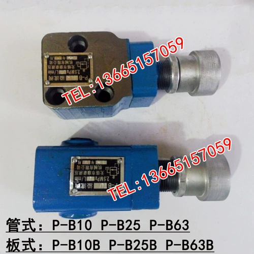 Переполненный клапан P-B25 P-B63 P-B10B P-B25B P-B63B P-160 P-B6 TP-B10B