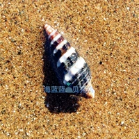 Натуральная раковина раковина черная шаблон Snail 2-3 см. Рыбные аквариумы ландшафтная декора