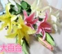 Hoa mô phỏng đơn hoa hoa giả sàn hoa trang trí phòng khách trang trí hoa nhân tạo bằng nhựa 2 hoa 1 Lei Lily - Hoa nhân tạo / Cây / Trái cây hoa giả cao cấp