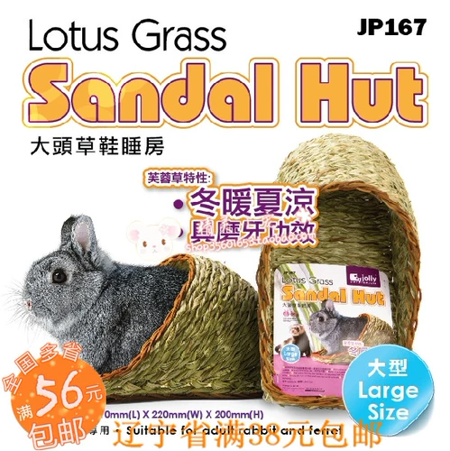 Jolly Zuli Big Head Grass Thass, спальня кролики, морская свинка Totoro Gont, маленький средний, маленький JP167 168 169