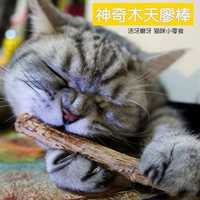 Кошачья шлифовальная закуска кошачья кошачья закуски натуральная молярная кошачь