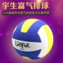 Tốt sợi EVA mềm gas bóng chuyền 7 trong nhà và ngoài trời trò chơi đào tạo bóng đặc biệt Yusheng giàu 6001 new giá 1 quả bóng chuyền	