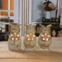Bán buôn hoa vỏ vàng châu Âu - Vase / Bồn hoa & Kệ chậu trồng rau