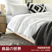 Cotton khách sạn khách sạn bộ đồ giường điều hòa không khí chăn bông lông chăn đơn đôi mùa xuân và mùa thu mùa core