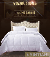 Khách sạn cotton trắng quilt khách sạn bông lông nhung đơn đôi mùa xuân và mùa thu core khách sạn bộ đồ giường