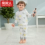 Đồ lót cho bé ở Nam Cực Bộ đồ lót cotton mùa xuân và mùa thu cho bé Áo len cotton mùa thu quần dài bé trai và bé gái mới đồ bộ cho bé trai