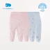 Li Ying phòng quần áo trẻ em nam nữ chăm sóc quần bụng hai mảnh đồ lót trẻ em 2019 hè phong cách mới - Quần áo lót