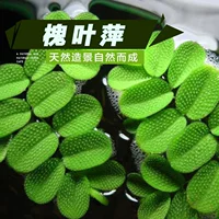 Huai Ye Ping Group