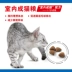 Pháp hoàng gia mèo trong nhà thực phẩm 2 kg pet demi mèo dành cho người lớn cat food cat staple thực phẩm I27 hạt cho mèo con 2 tháng tuổi Cat Staples