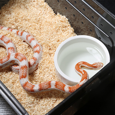 Аксессуары для рептилии 德国进口chipsi木屑爬宠垫材蛇类专用木屑垫材无尘除湿除臭