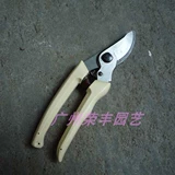 Пять корон-жениха