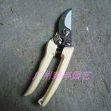 Пять корон-жениха