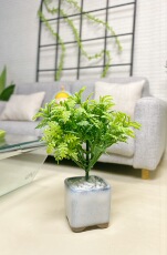 bjd场景道具娃屋 bjd6分植物盆栽微缩仿真blythe六分娃屋ob11家具装饰摆件绿植带盆