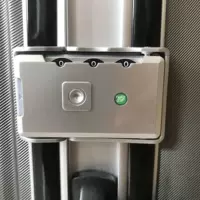 Зеленое листовое серебро