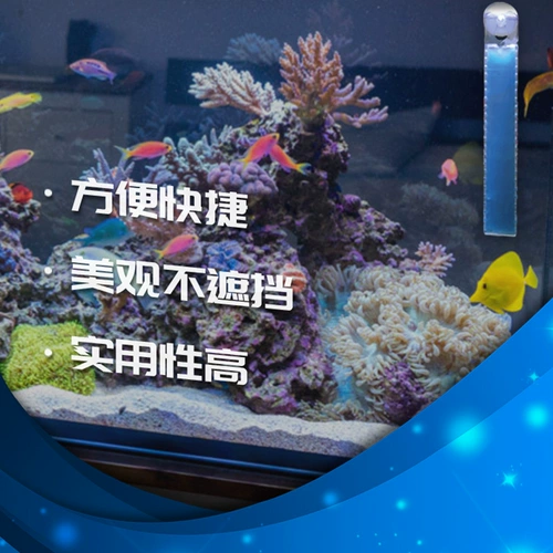 Французское печенье -альги -альги -альги.