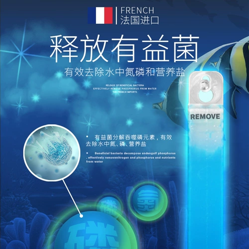 Французское печенье -альги -альги -альги.