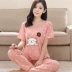 Đồ ngủ nữ mùa hè phù hợp với Hàn Quốc phiên bản của sinh viên tươi ngắn tay quần hai mảnh lỏng lẻo có thể được đeo bên ngoài phần mỏng dịch vụ nhà nữ đồ ngủ thu đông ấm áp Bên ngoài ăn mặc