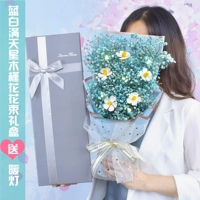 Hibiscus Flower Blue Medium+Portable Box Явная пленка