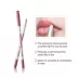 12 màu sắc thiết lập môi bút chì môi lót son môi bút chính hãng không thấm nước giữ ẩm kéo dài không- đánh dấu mờ Hàn Quốc sơn khỏa thân màu