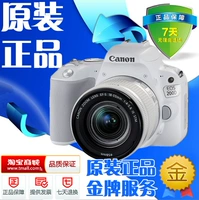Máy ảnh SLR chuyên nghiệp mới của Canon 200D (18-55mm) camera kỹ thuật số HD may anh