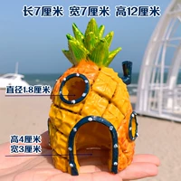 【Ананасовый дом】