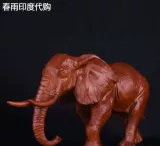 Чуню Индийская покупка Бангладеш приобретает подлинные прямые почтовые рассылки.