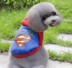 Batman hai chân áo len mùa thu và mùa đông Teddy Bear Xiulan Nai Superman hai chân Quần áo chó Pug trang phục mèo mùa thu - Quần áo & phụ kiện thú cưng 	áo dành cho chó lớn Quần áo & phụ kiện thú cưng