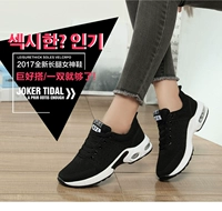 1713 Mount Black Erotic Pare Fund