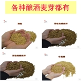 Домашнее пиво, ячменный солод, пшеничный солод, хмель, дрожжи и другое ячменное солодовое сырье. Пакет рецептов крафтового пива.