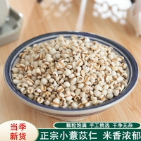 Китайская травяная медицина новые товары специальные ядра ячменя яйца Гуйчжоу маленький ячменный промопорек рисовый рисовый порох