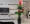 Cây mô phỏng cây hoa hồng chậu cây lớn màu xanh lá cây phòng khách sàn trưng bày hoa giả nhựa hoa cưới hoa anthurium - Hoa nhân tạo / Cây / Trái cây bình hoa giả đẹp