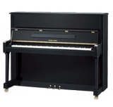 Импортное пианино, практика, в корейском стиле